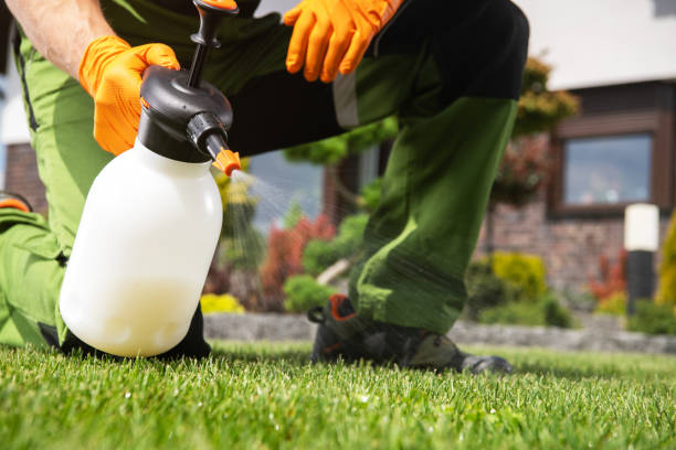 Best Wildlife Control Services  in Fairlawn, VA