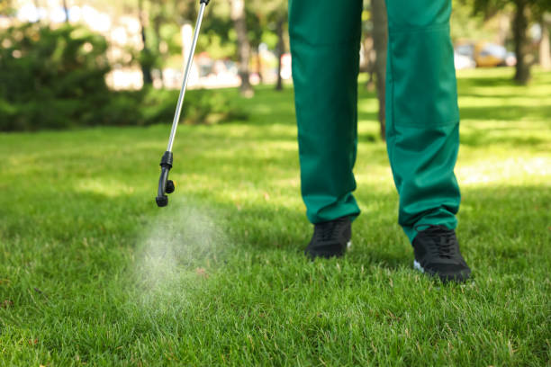 Best Pest Control Near Me in Fairlawn, VA