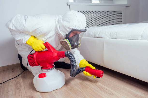 Best Best Pest Control Companies  in Fairlawn, VA