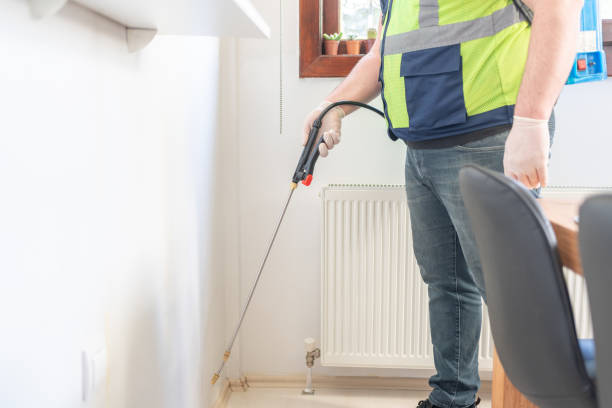 Best Local Pest Control Services  in Fairlawn, VA