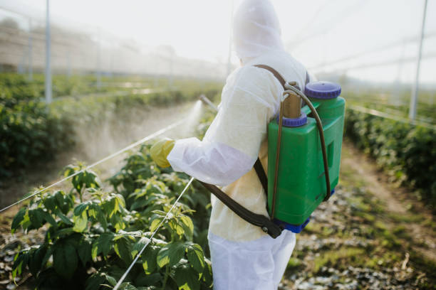 Best Wildlife Control Services  in Fairlawn, VA